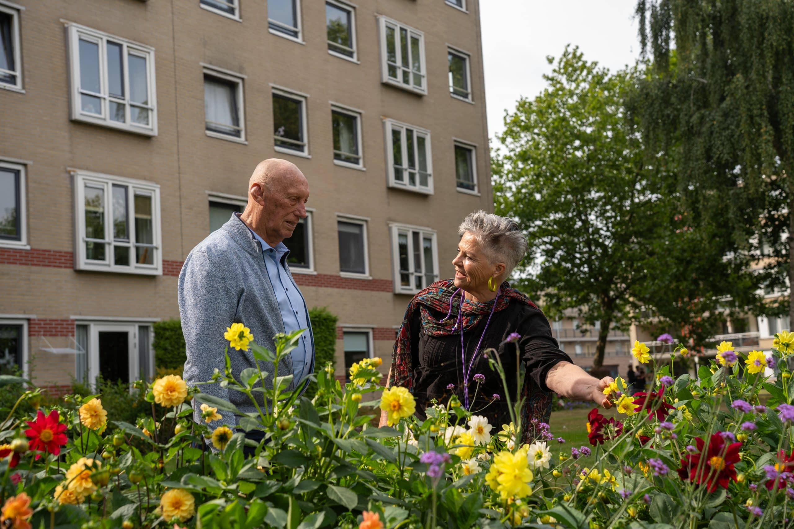 20250825 Vrijwilligerswerk Camminghaburen Amaryllis Iris Bruinenberg 140