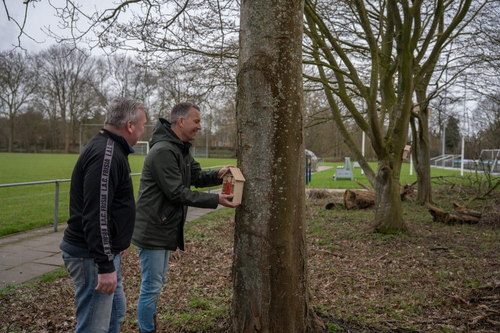 20260313 Nldoet Lac Frisia Amaryllis Myrthe Kingma 001